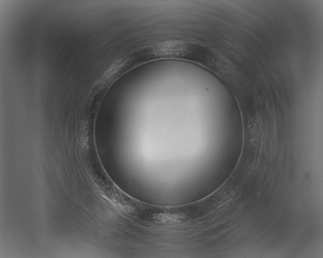 X0000052610255200507011235