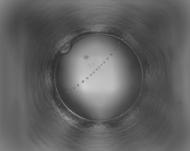 X0000052610256200507011235