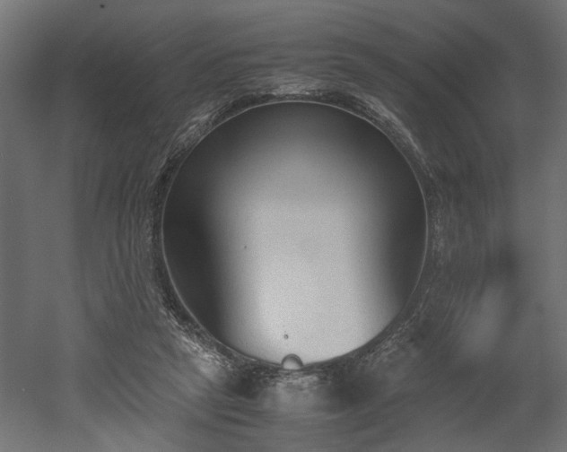 X0000052610257200507011235