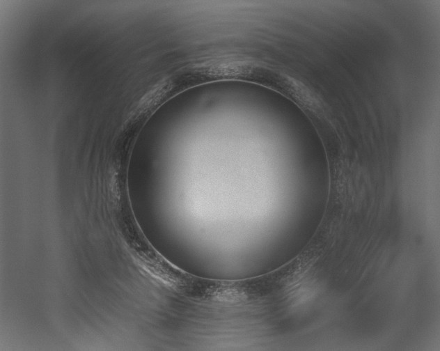 X0000052610258200507011235