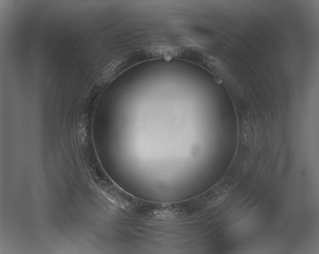 X0000052610259200507011235