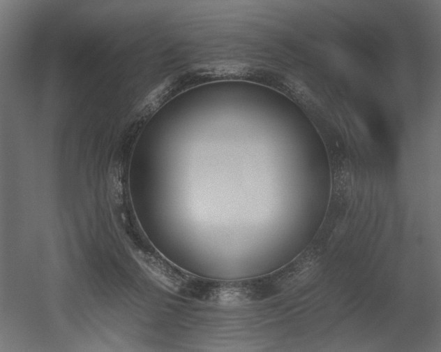 X0000052610264200507011235