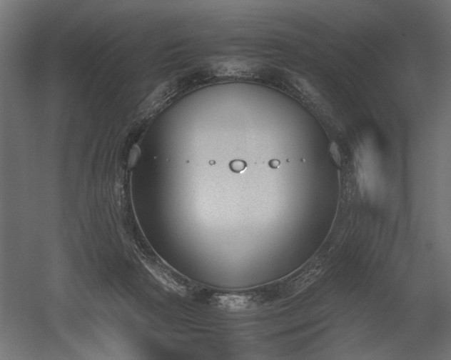 X0000052610265200507011235