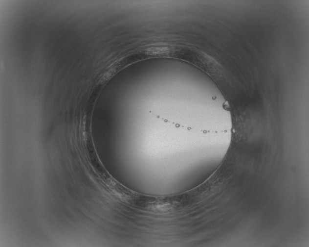 X0000052610267200507011235