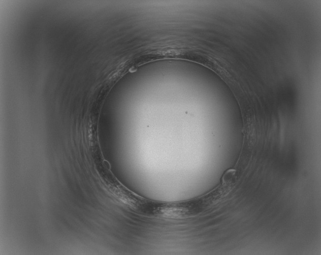 X0000052610268200507011235