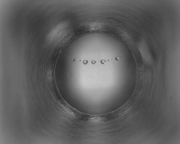 X0000052610269200507011235