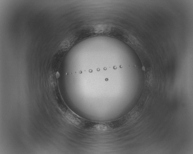 X0000052610272200507011235