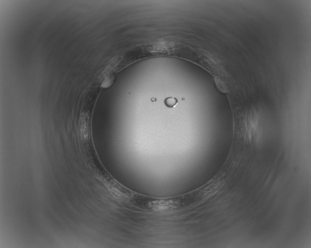 X0000052610273200507011235