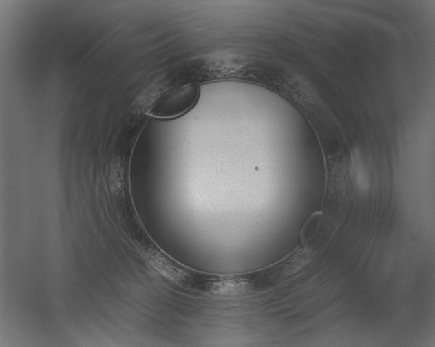 X0000052610274200507011235