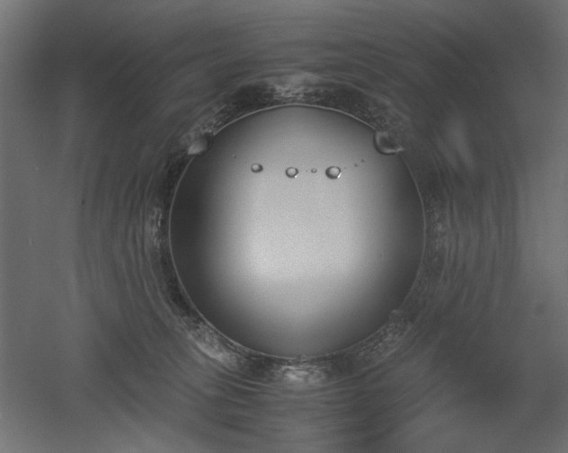 X0000052610275200507011235