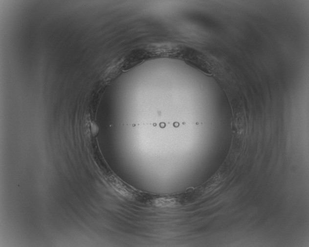 X0000052610279200507011235