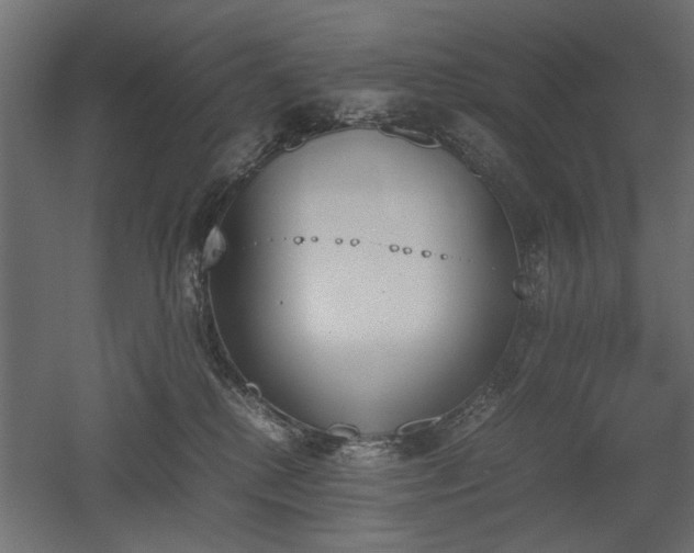 X0000052610280200507011235