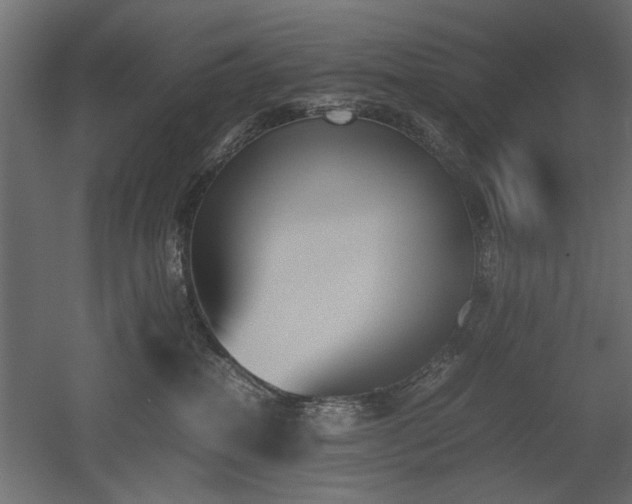 X0000052610282200507011235