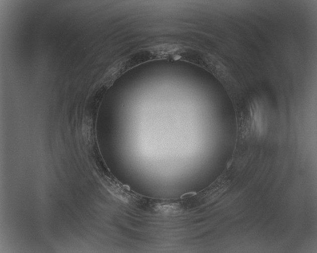 X0000052610283200507011235