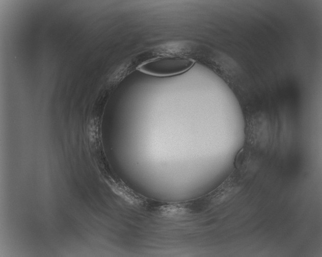 X0000052610284200507011235