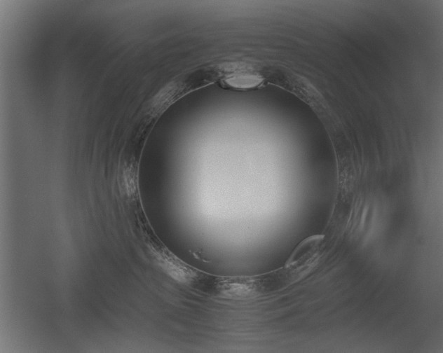 X0000052610285200507011235