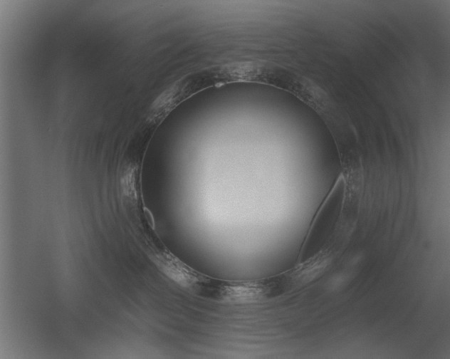 X0000052610286200507011235