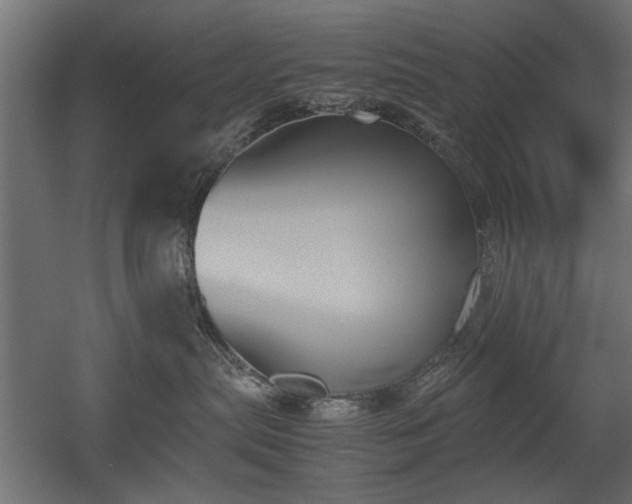 X0000052610287200507011235