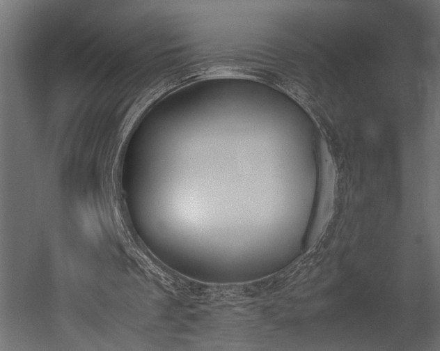 X0000052610289200507011235