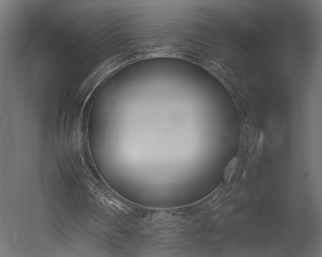 X0000052610290200507011235