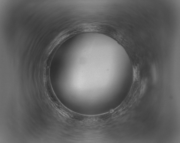 X0000052610291200507011235