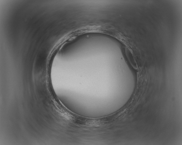 X0000052610293200507011234