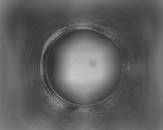 X0000052610294200507011234