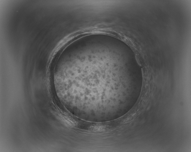 X0000052610295200507011234