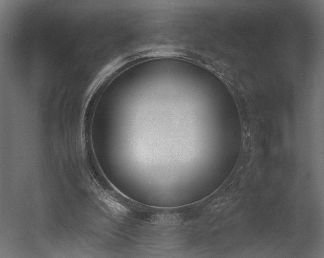 X0000052610296200507011234