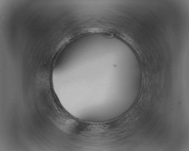 X0000052610297200507011234