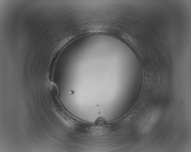 X0000052610298200507011234