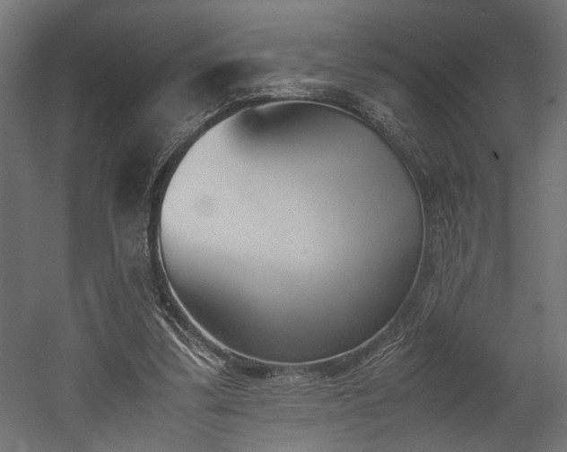 X0000052610299200507011234