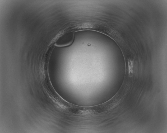 X0000052610300200507011234