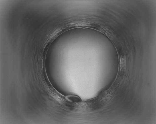 X0000052610301200507011234