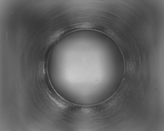 X0000052610302200507011234