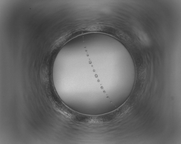 X0000052610303200507011234