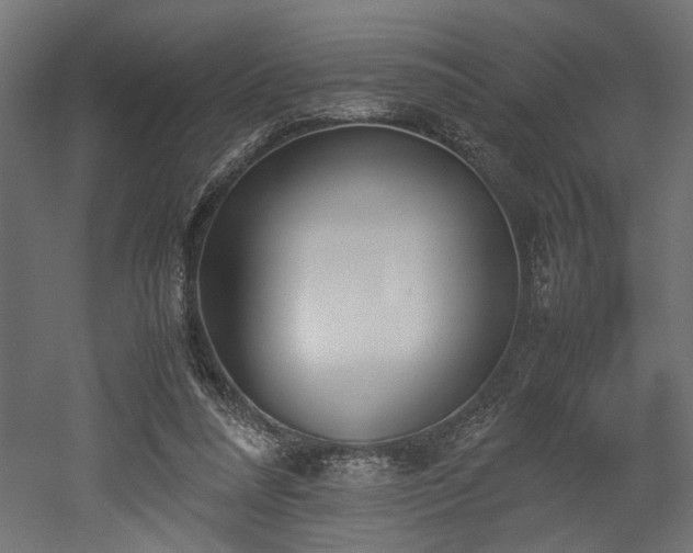 X0000052610304200507011234