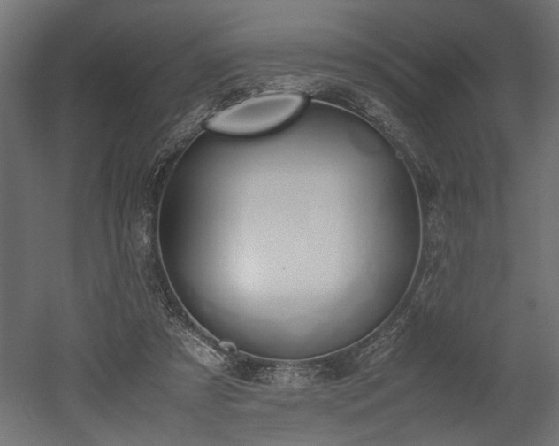 X0000052610305200507011234