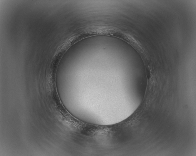 X0000052610306200507011234