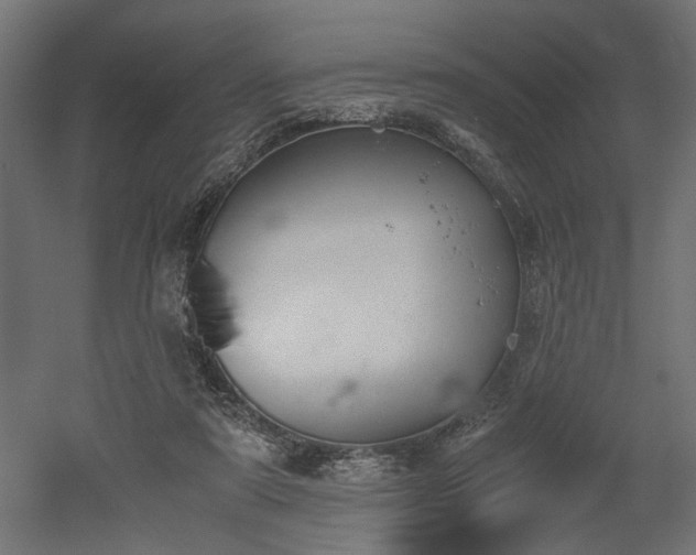 X0000052610307200507011234