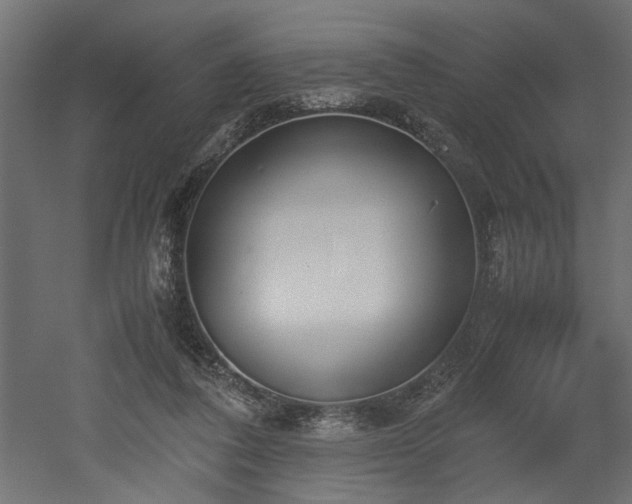 X0000052610308200507011234