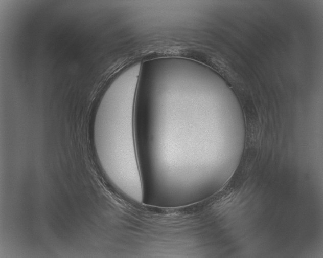 X0000052610309200507011234