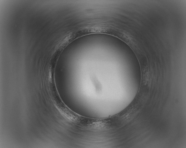 X0000052610310200507011234