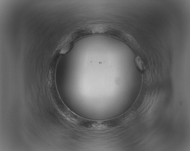 X0000052610311200507011234