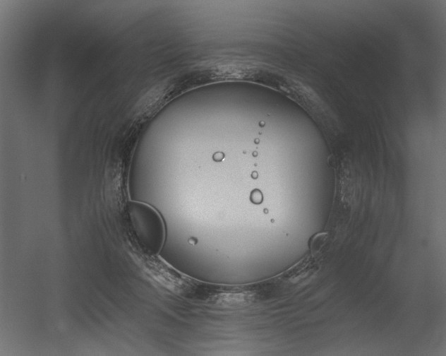 X0000052610314200507011234