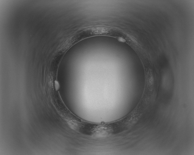 X0000052610315200507011234