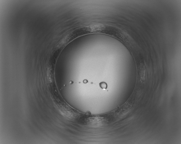 X0000052610316200507011234