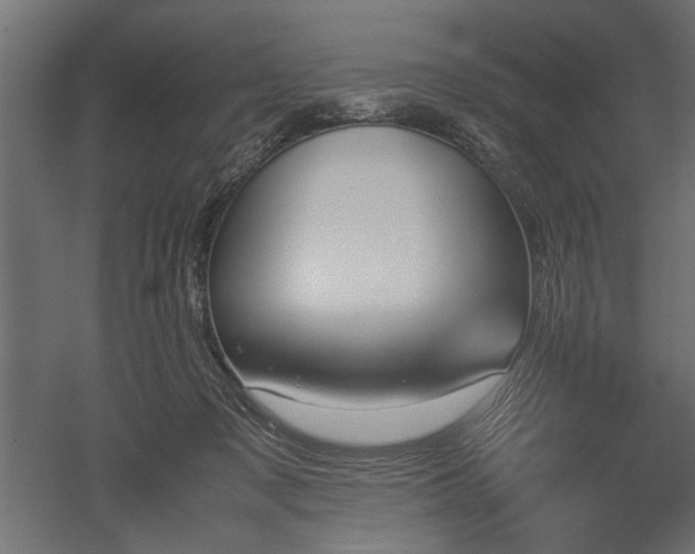 X0000052610317200507011234