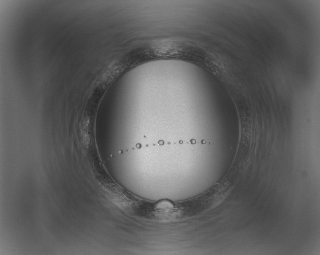 X0000052610319200507011234