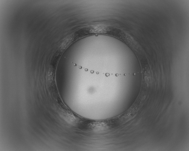 X0000052610322200507011234